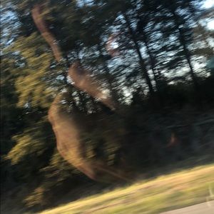 Meet your Posher, April